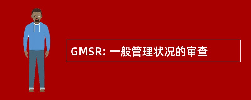 GMSR: 一般管理状况的审查