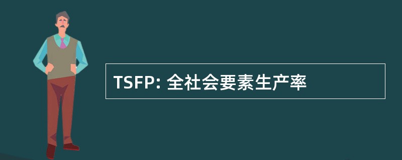 TSFP: 全社会要素生产率