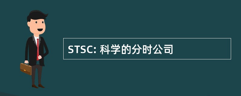 STSC: 科学的分时公司