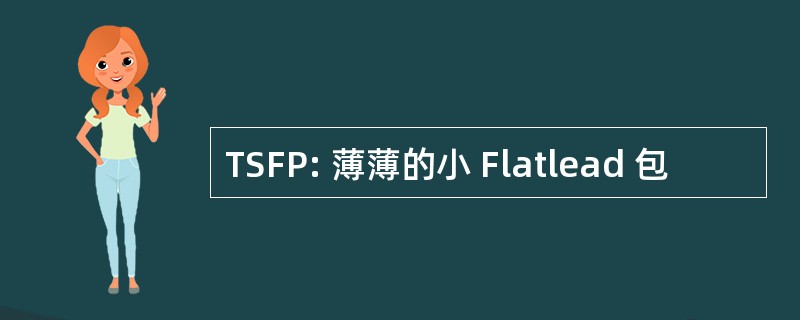 TSFP: 薄薄的小 Flatlead 包