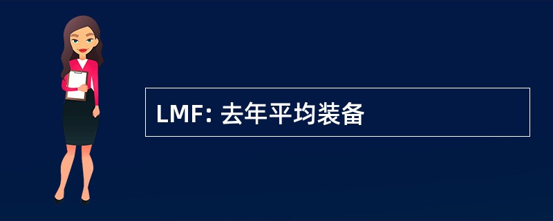 LMF: 去年平均装备