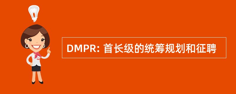 DMPR: 首长级的统筹规划和征聘