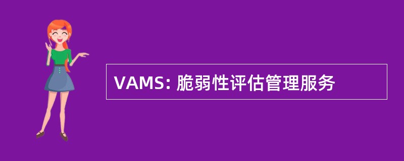 VAMS: 脆弱性评估管理服务