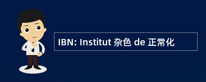 IBN: Institut 杂色 de 正常化