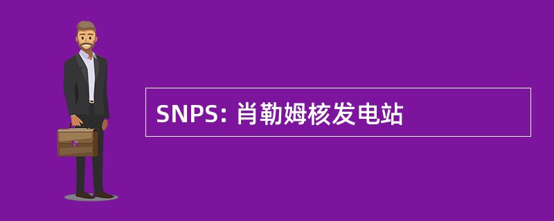 SNPS: 肖勒姆核发电站