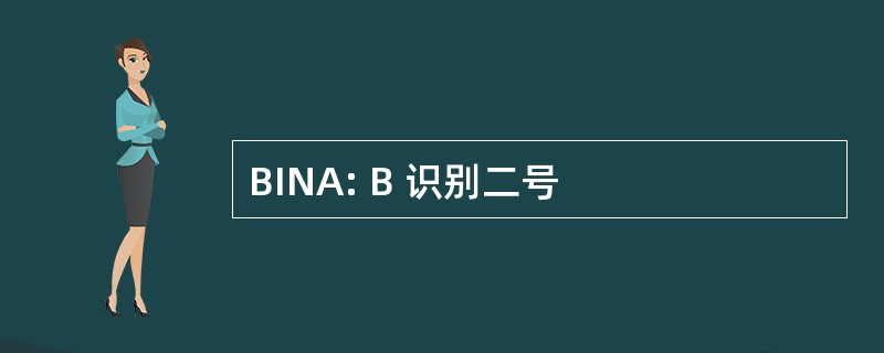 BINA: B 识别二号