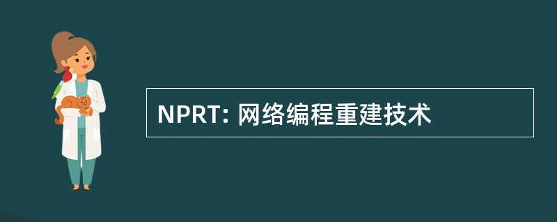 NPRT: 网络编程重建技术