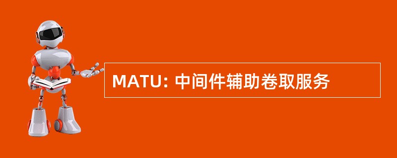 MATU: 中间件辅助卷取服务