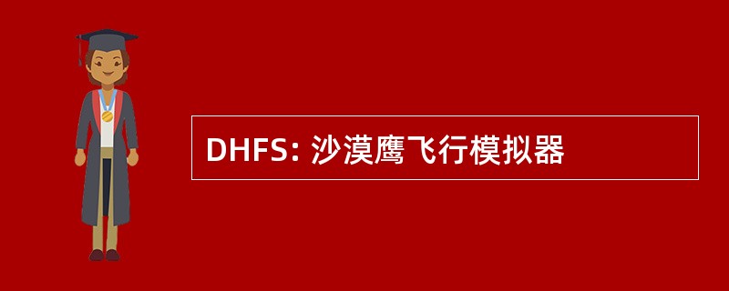 DHFS: 沙漠鹰飞行模拟器