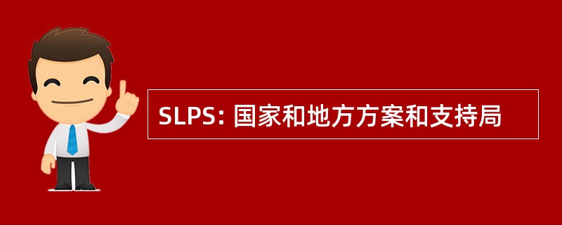 SLPS: 国家和地方方案和支持局