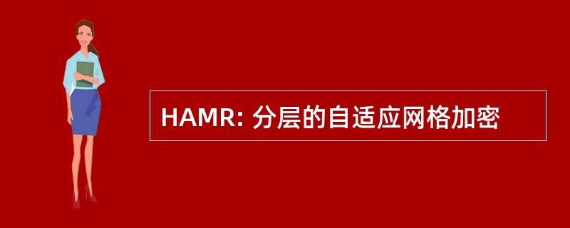 HAMR: 分层的自适应网格加密