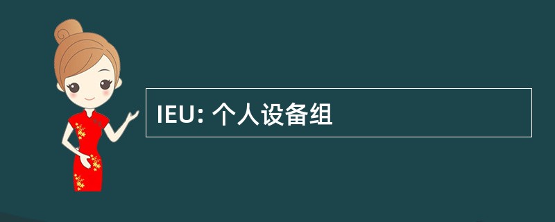 IEU: 个人设备组