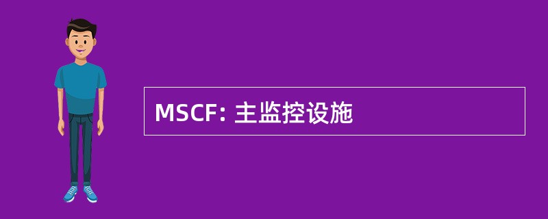 MSCF: 主监控设施