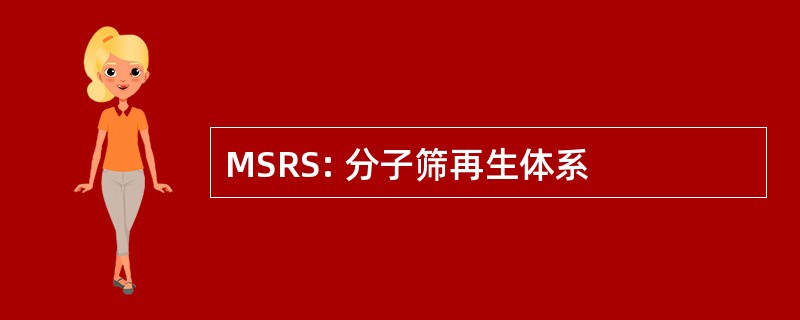 MSRS: 分子筛再生体系