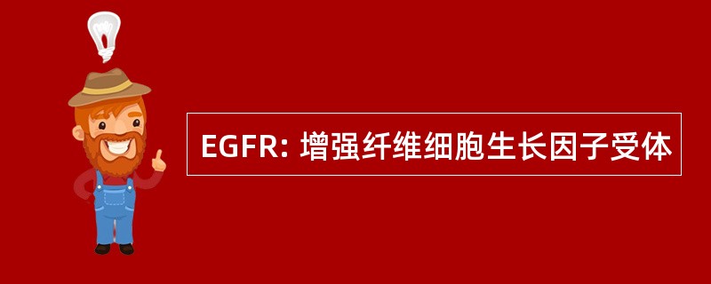 EGFR: 增强纤维细胞生长因子受体