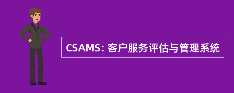 CSAMS: 客户服务评估与管理系统