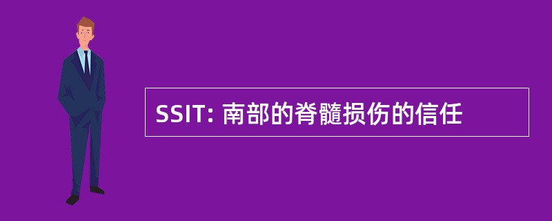 SSIT: 南部的脊髓损伤的信任