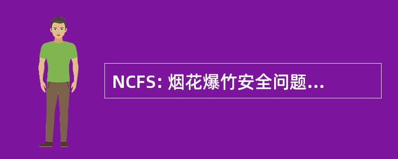 NCFS: 烟花爆竹安全问题全国委员会