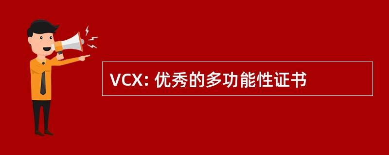 VCX: 优秀的多功能性证书