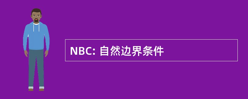 NBC: 自然边界条件