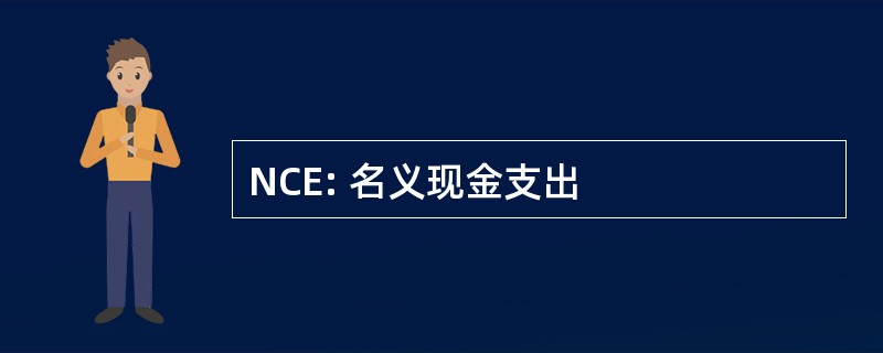 NCE: 名义现金支出