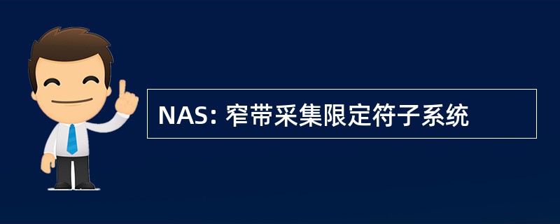 NAS: 窄带采集限定符子系统