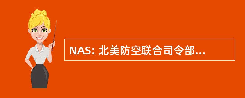 NAS: 北美防空联合司令部警报系统