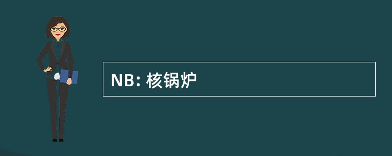 NB: 核锅炉