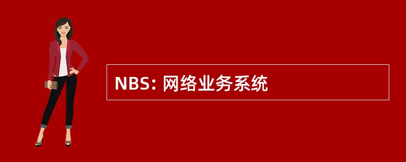 NBS: 网络业务系统