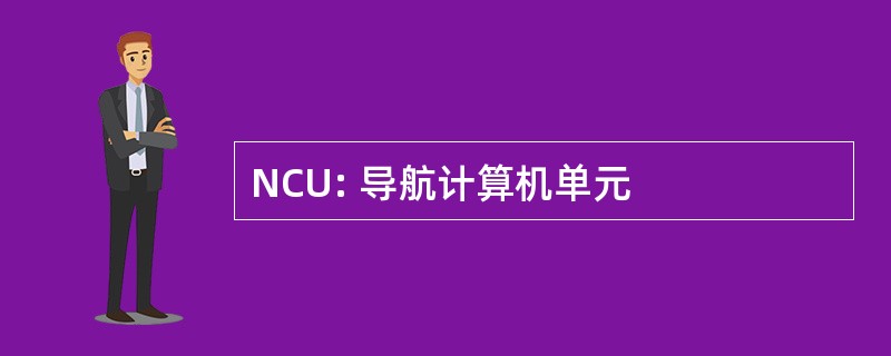 NCU: 导航计算机单元