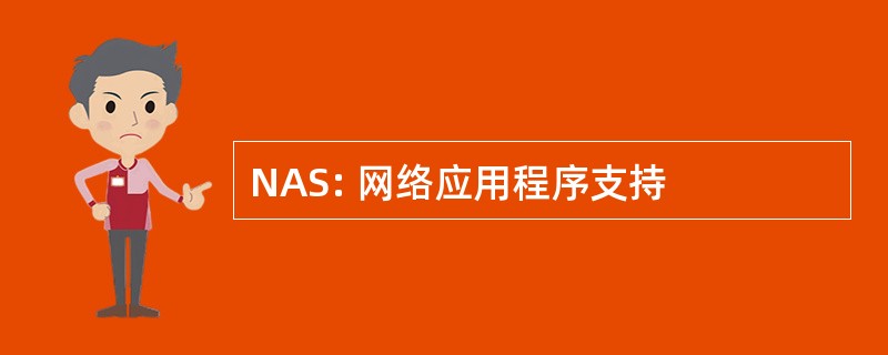 NAS: 网络应用程序支持