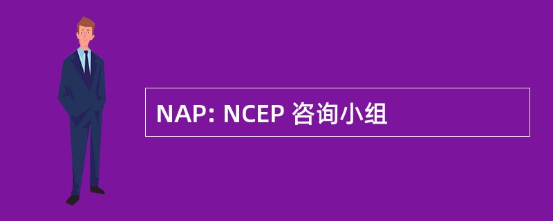 NAP: NCEP 咨询小组