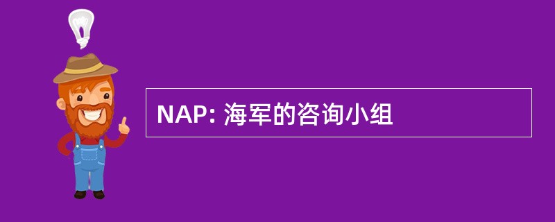 NAP: 海军的咨询小组