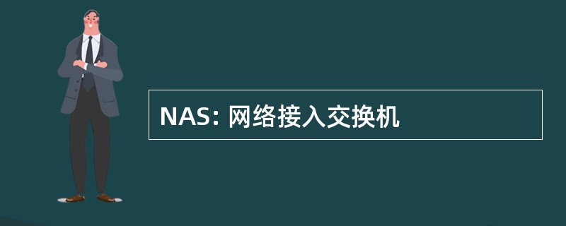 NAS: 网络接入交换机