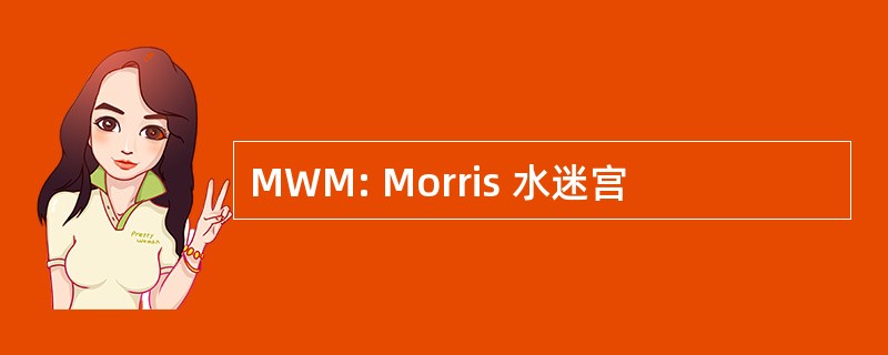 MWM: Morris 水迷宫