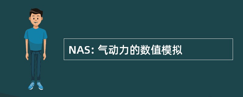 NAS: 气动力的数值模拟