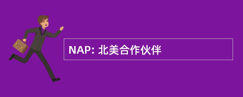 NAP: 北美合作伙伴