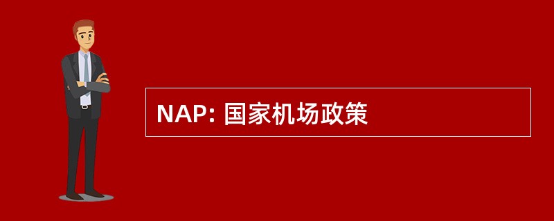 NAP: 国家机场政策