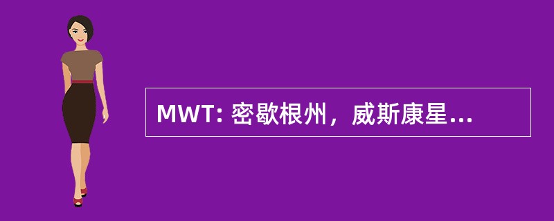 MWT: 密歇根州，威斯康星州交通公司