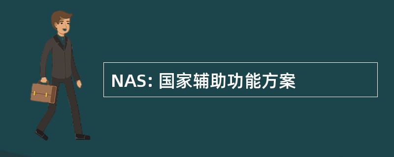 NAS: 国家辅助功能方案