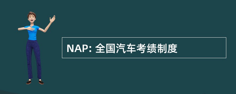 NAP: 全国汽车考绩制度