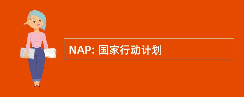 NAP: 国家行动计划