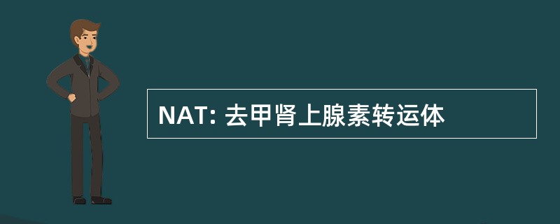 NAT: 去甲肾上腺素转运体