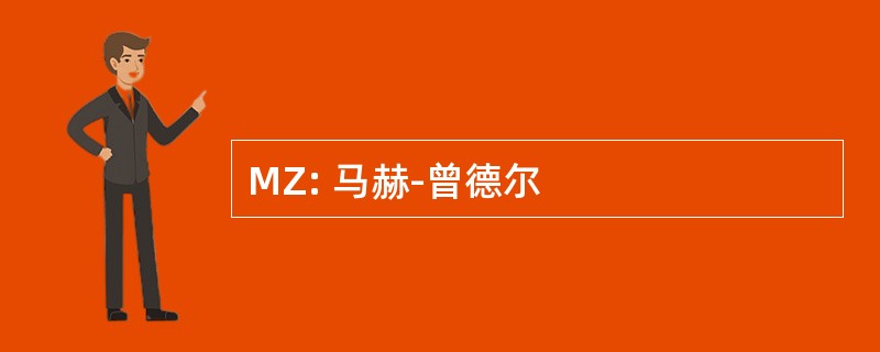 MZ: 马赫-曾德尔