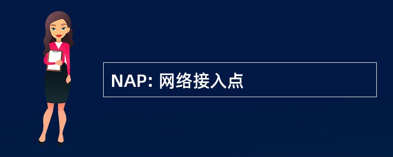 NAP: 网络接入点