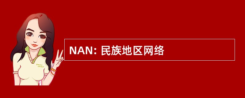 NAN: 民族地区网络