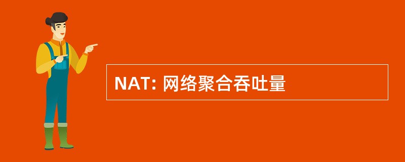 NAT: 网络聚合吞吐量