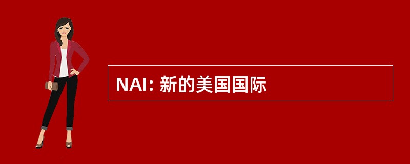 NAI: 新的美国国际