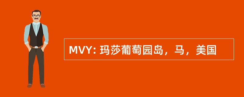 MVY: 玛莎葡萄园岛，马，美国