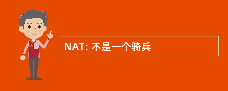 NAT: 不是一个骑兵